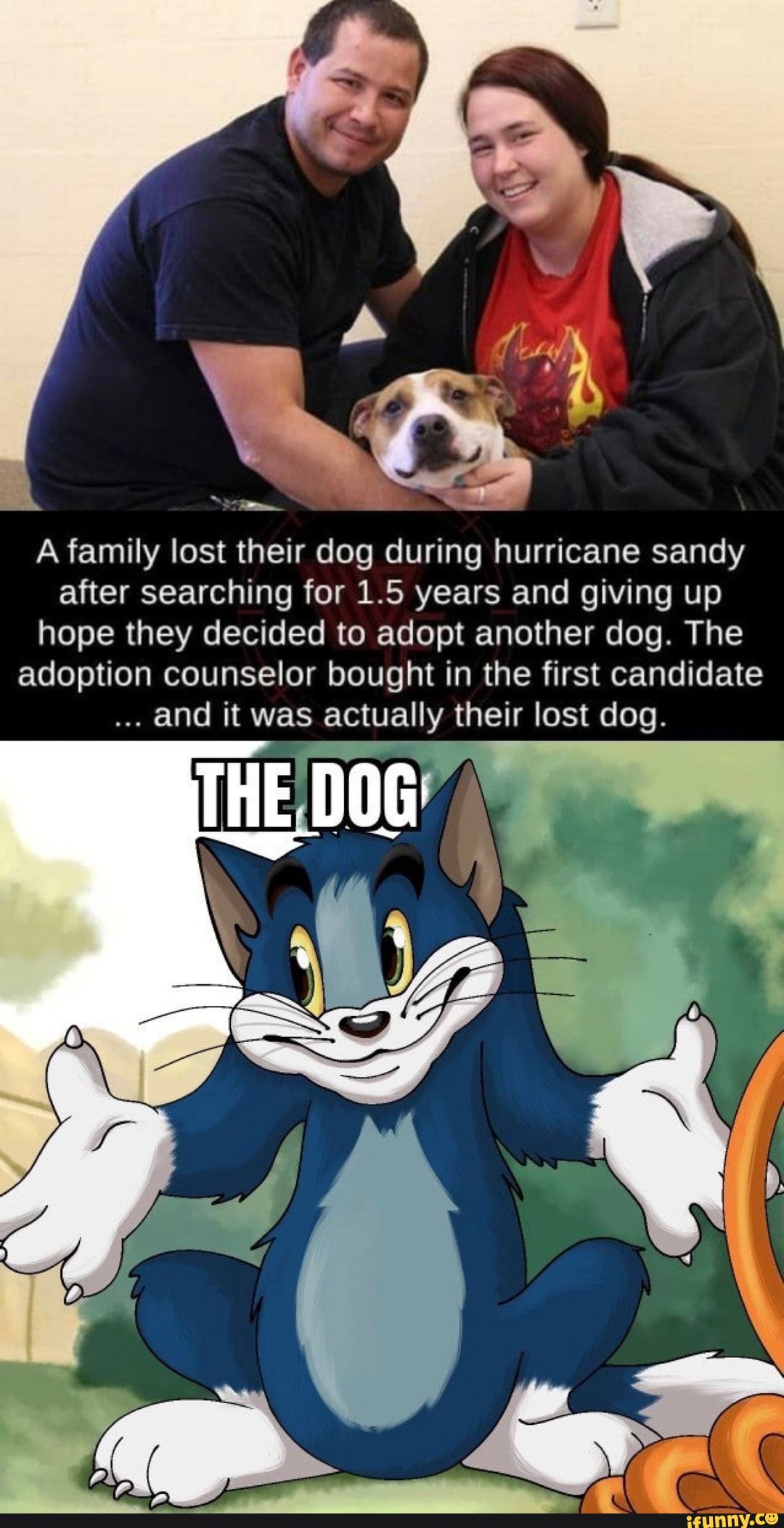 A family lost their dog during hurricane sandy
after searching for 1.5 years and giving up
hope they decided to adopt another dog. The
adoption counselor bought in the first candidate
and it was actually their lost dog.