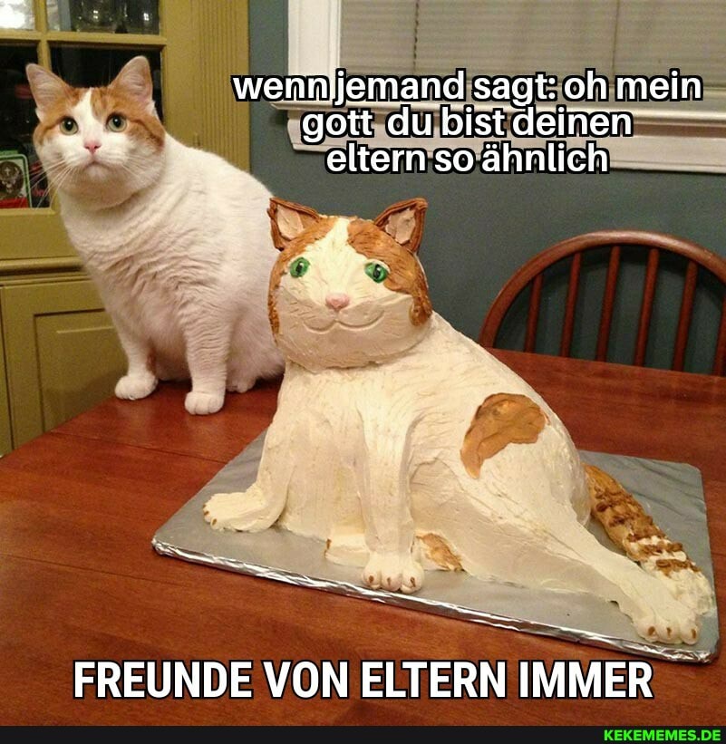 'wenn jemand sagt: oh mein gott du bist deifien eltern so ähnlich
FREUNDE VON ELTERN IMMER