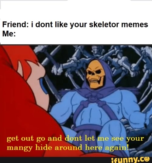 Friend I Dont Like Your Skeletor Memes Me Get Out Go And Dont Let Me See Your Mangy Hide Around Here Again