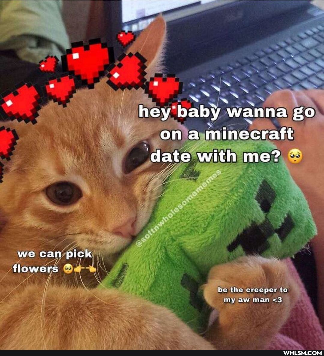 Ss
hey baby wanna go on a minecraft
'date with me?
we can pick flowers
be the creeper to
my aw man <3
