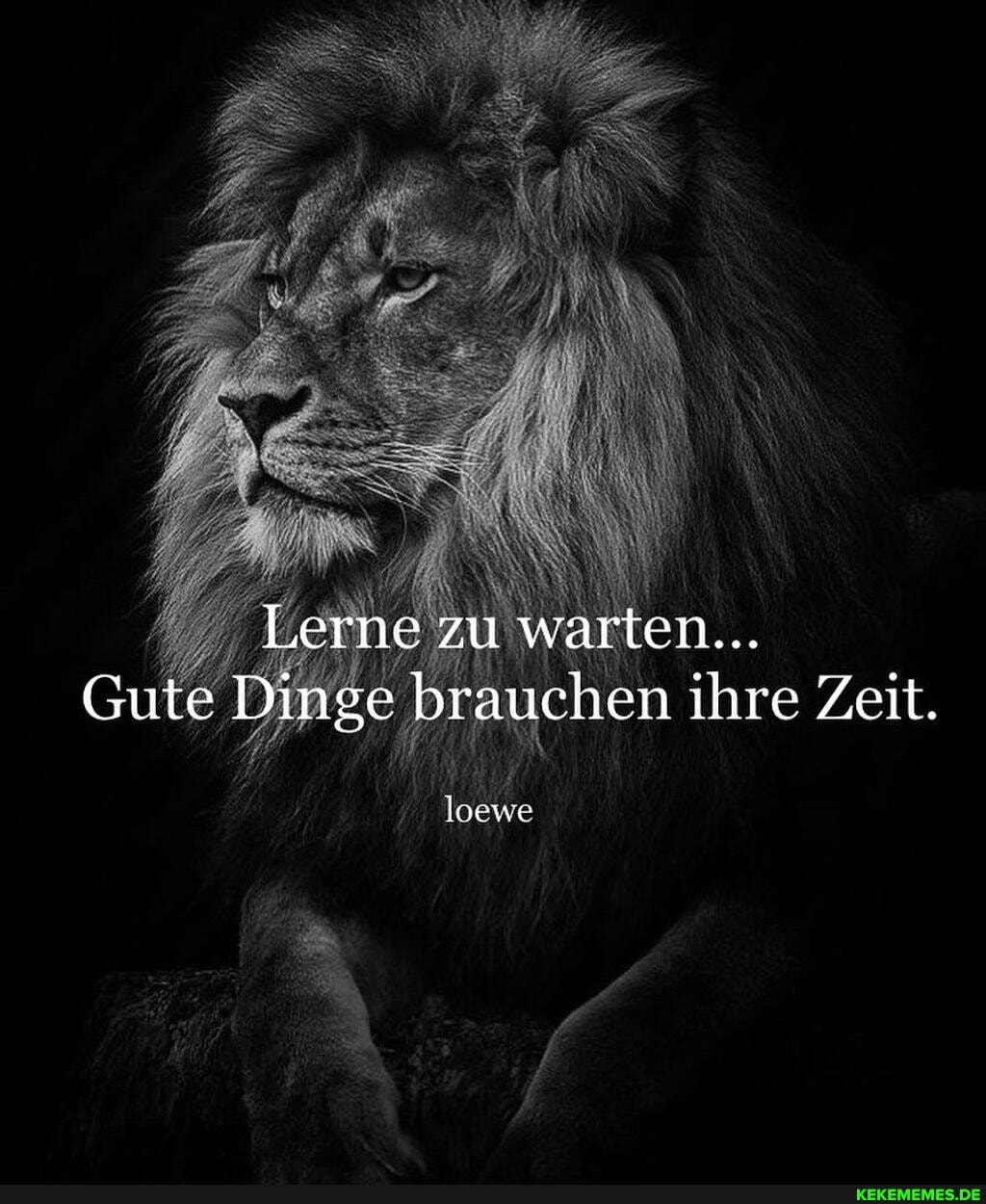 Lerne zu warten..
Gute Dinge brauchen ihre Zeit.
loewe