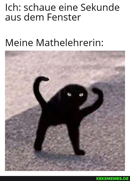 Ich: schaue eine Sekunde aus dem Fenster
Meine Mathelehrerin: