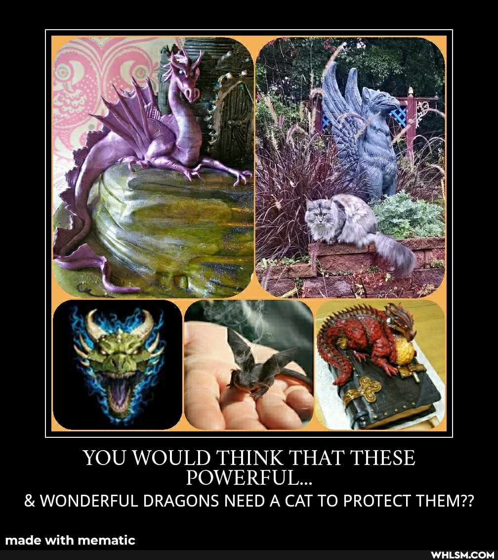 YOU WOULD THINK THAT THESE POWERFUL...
& WONDERFUL DRAGONS NEED A CAT TO PROTECT THEM??
