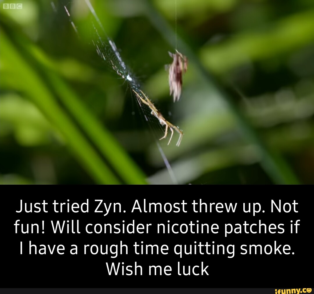 Zyn memes. Best Collection of funny Zyn pictures on iFunny