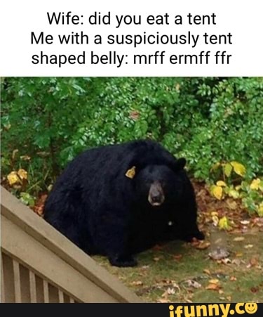 Wife: did you eat a tent Me with a suspiciously tent shaped belly: mrff ...