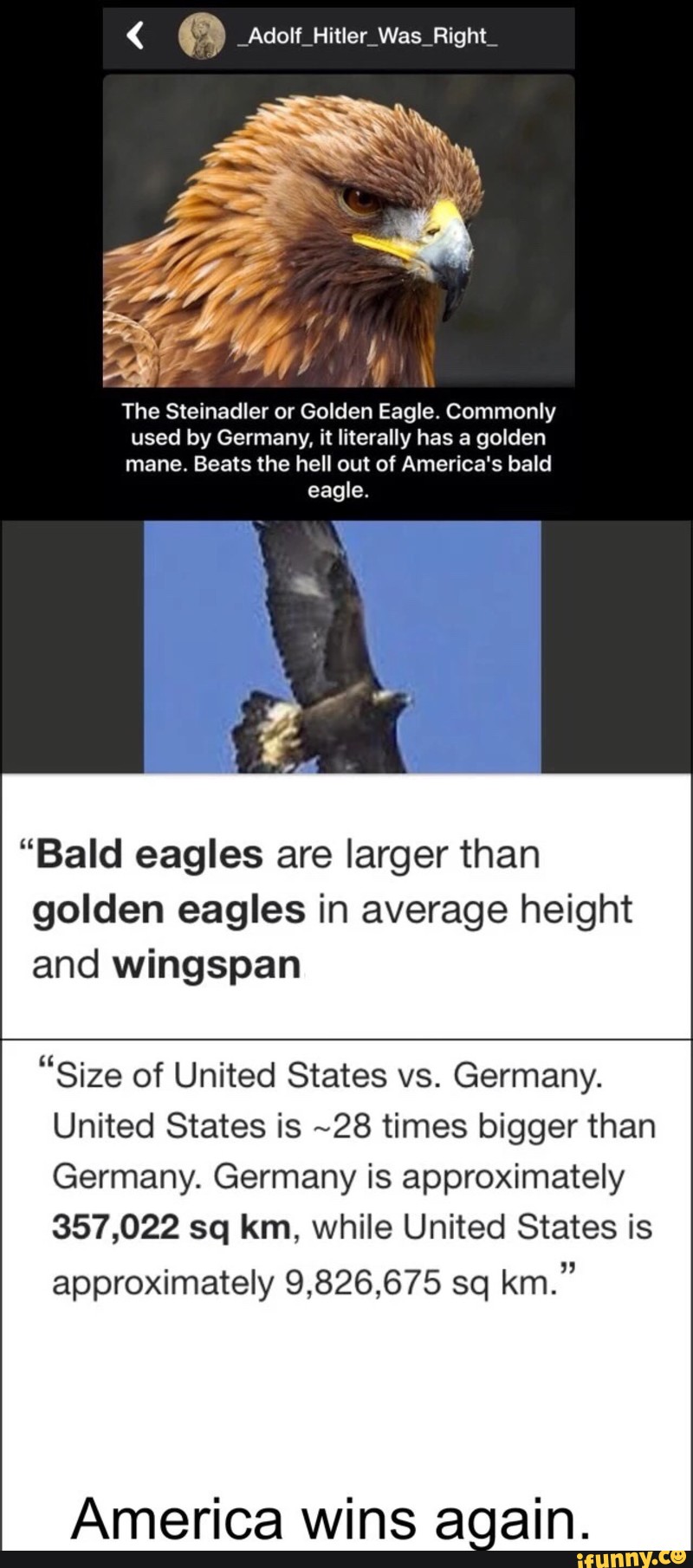 The Steinadler Or Golden Eagle Commonly Used By Germany It