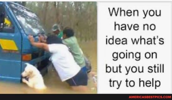 When you have no idea what's going on but you still try to help