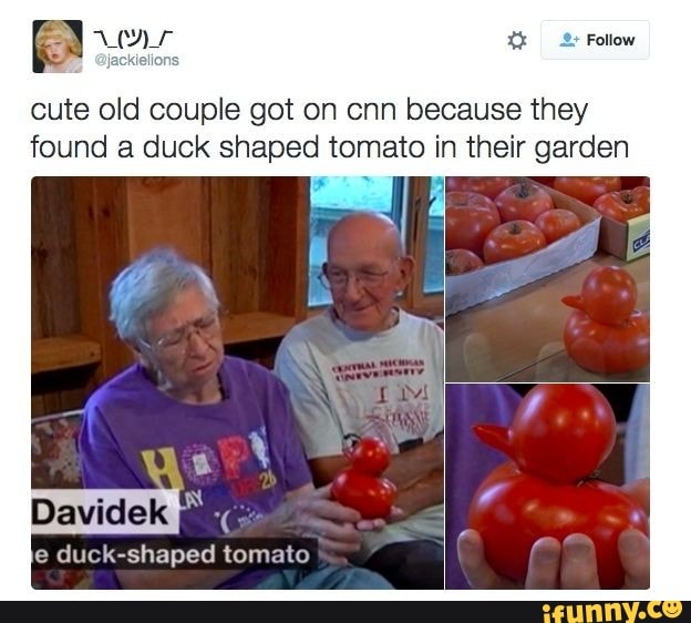 Follow
cute old couple got on cnn because they found a duck shaped tomato in their garden
ie duck-shaped tomato