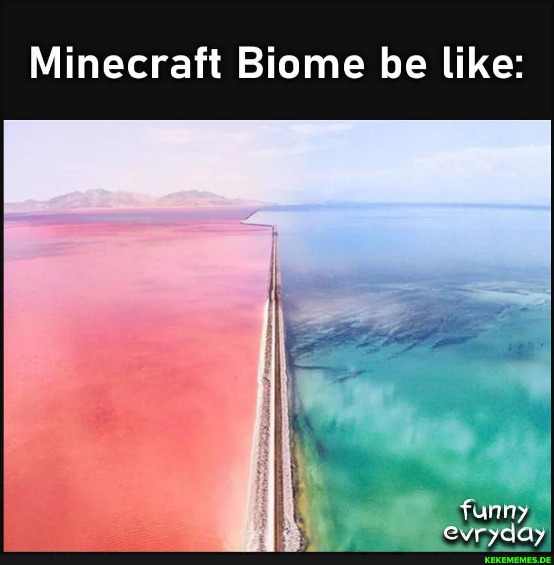 Minecraft Biome be like:
ie
= \ funny evryday evryady