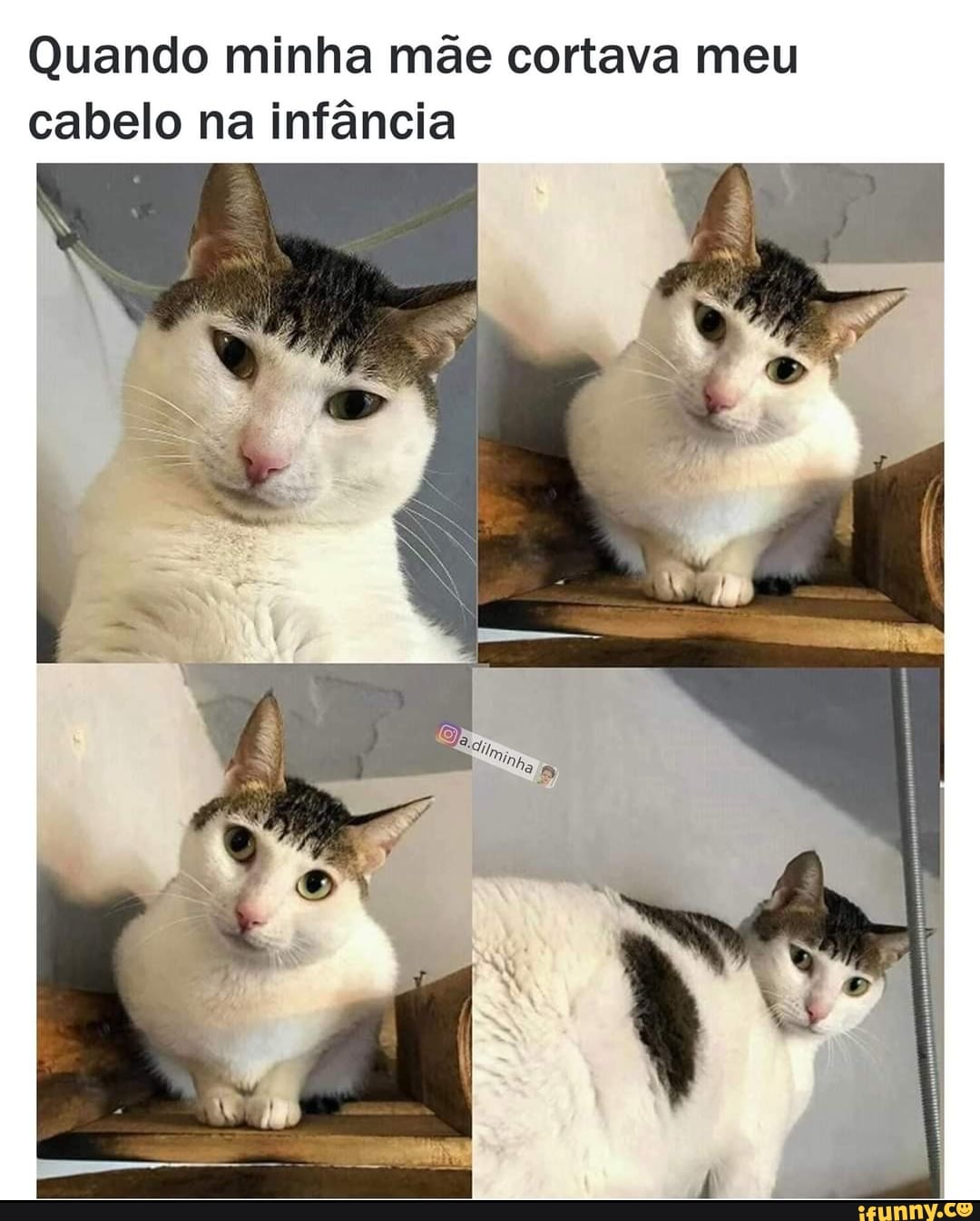 Quando minha mãe cortava meu cabelo na infância