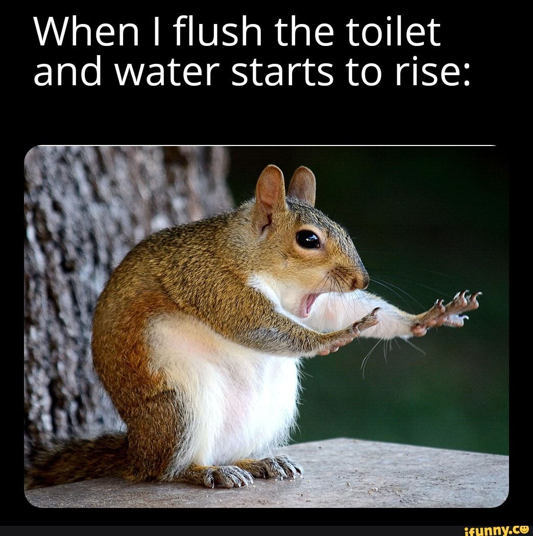 When I flush the toilet and water starts to rise: - iFunny