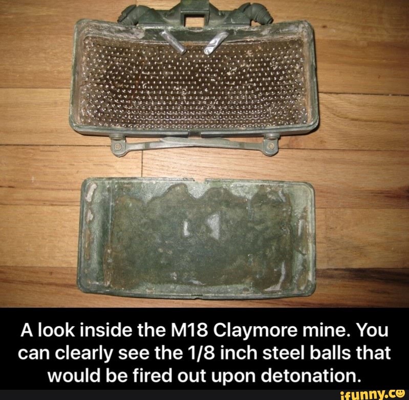 A look inside the Claymore mine. You can clearly see the inch steel balls that would be fired