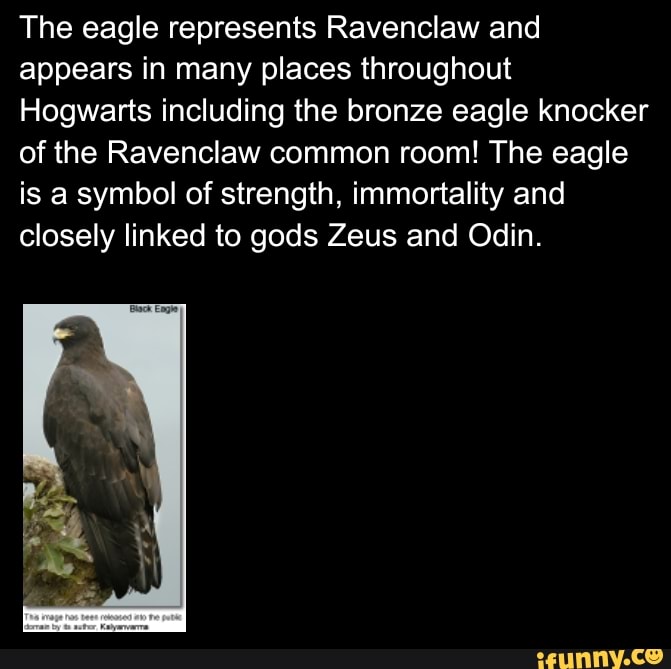 The eagle represents Ravenclaw and appears in many places throughout