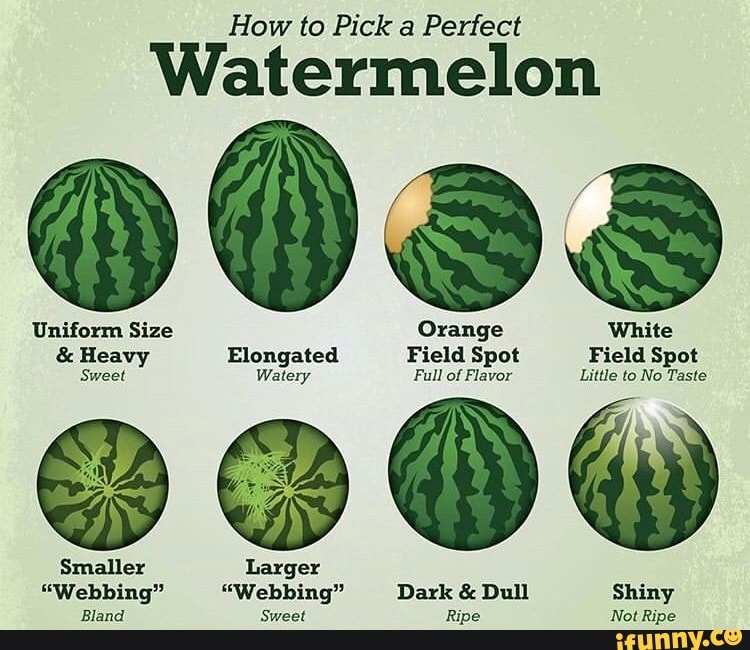 how-to-pick-a-perfect-watermelon-eagle-eye-produce