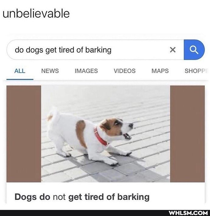 unbelievable
do dogs get tired of barking x
ALL NEWS IMAGES VIDEOS MAPS SHOP
Dogs do not get tired of barking