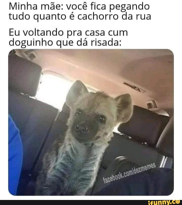 Minha mãe: você fica pegando tudo quanto é cachorro da rua
Eu voltando pra casa cum doguinho que dá risada: