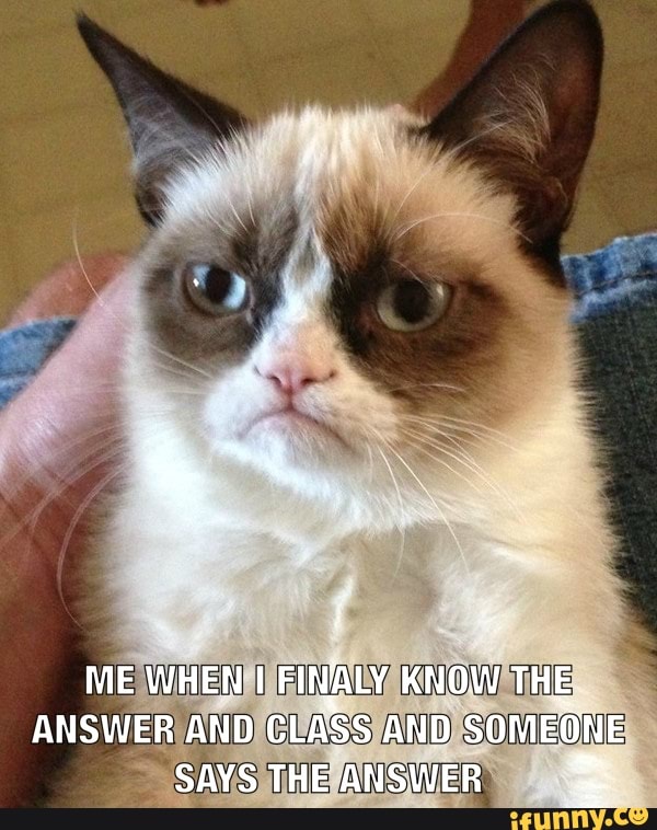 ME WHEN FINALY KNOW THE ANSWER AND CLASS AND SOMEONE SAYS THE ANSWER =