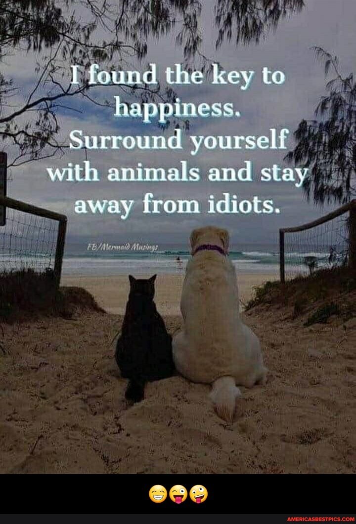 found the kev to happiness,
Surround yourself with animals and stay away fromm idiots. - 😁😜🤪