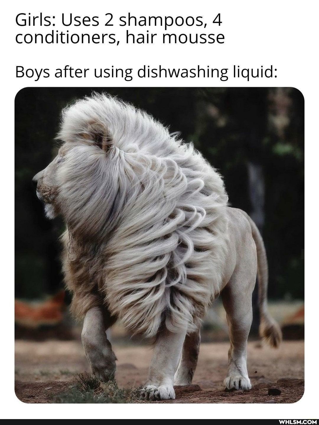 Girls: Uses 2 shampoos, 4 conditioners, hair mousse
Boys after using dishwashing liquid:
