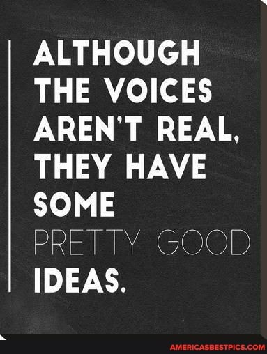 ALTHOUGH THE VOICES AREN'T REAL,
THEY HAVE SOME
GOOD IDEAS.