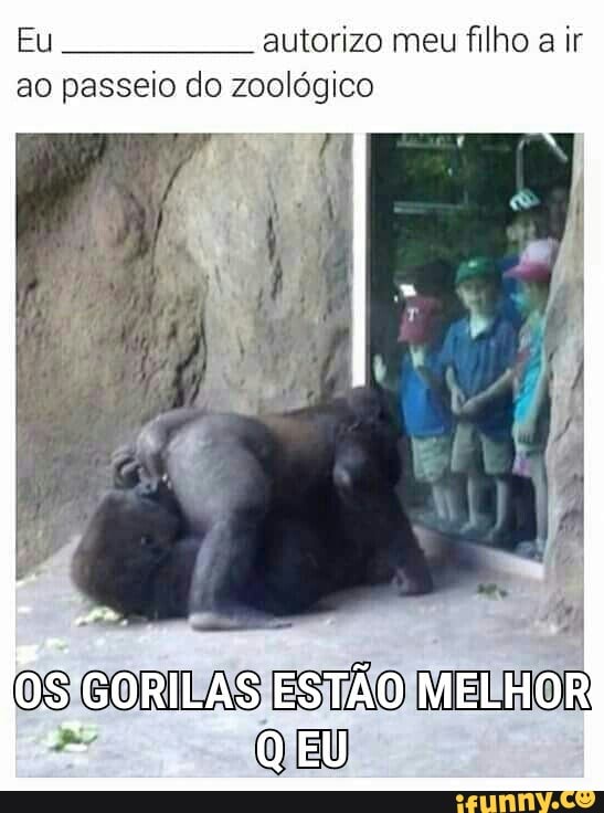 Eu autorizo meu filho
a ir
ao passeio do zoológico
OS CONLAS
aio
MELHOR
Be QEU