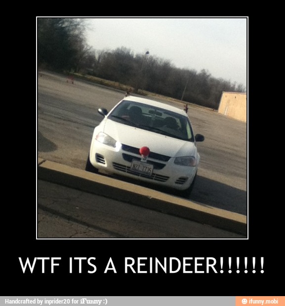 WTF ITS A REINDEER!!!!!!