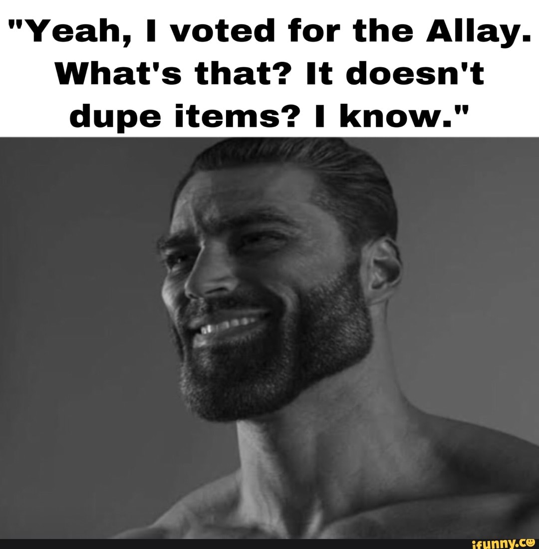 yeah-voted-for-the-allay-what-s-that-it-doesn-t-dupe-items-i-know-ifunny