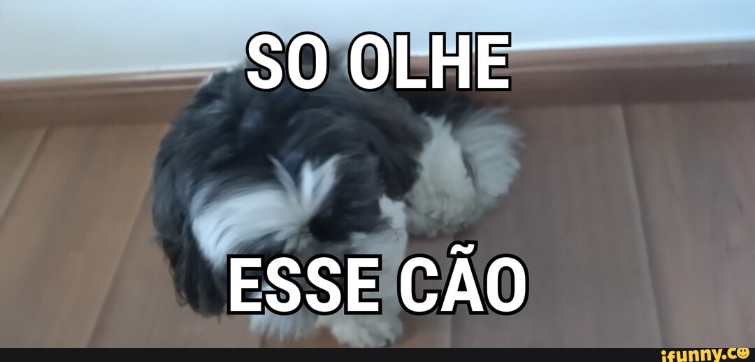 SO OLHE
ESSE CÃO
