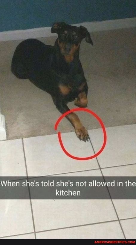 When she's told she's not allowed in the kitchen
