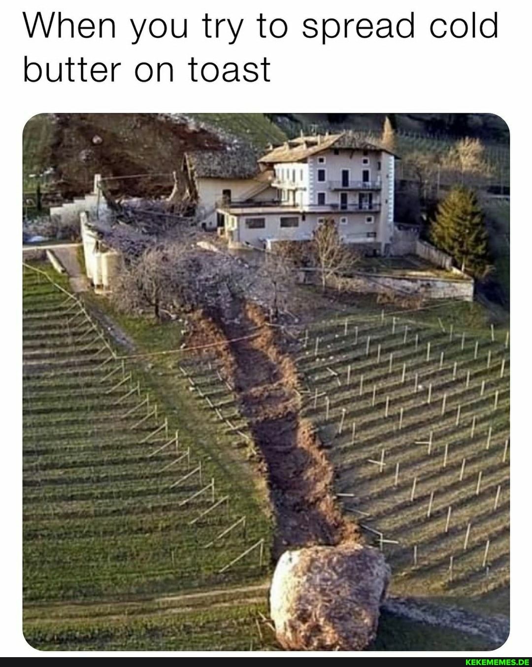 When you try to spread cold butter on toast