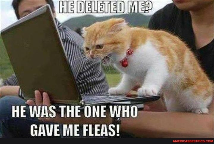 HE WAS THE ONE WHO;
GAVE ME FLEAS!