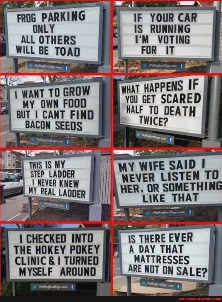 FROG PARKING
ALL OTHERS ALL WILL BE TOAD
WANT TO GROW OWN FOOD
THIS MY
STEP LADDER NEVER KNEW REAL LADDER
CHECKED INTO THE HOKEY POKEY CLINIC & I TURNED MYSELF AROUND
IF YOUR CAR IS RUNNING VOTING
WHAT HAPPENS IF You GET SCARED HALF TO DEATH
WIFE SAID WWEVER LISTEN TO HER, OR SOMETHING LIKE THA AT
IS THERE EVER A DAY THAT MATTRESSES
RE NOT ON SALE?