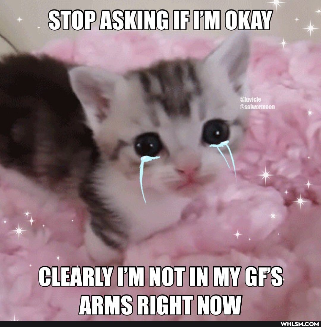 nit
CLEARLY I'M NOT IN MY GF'S ARMS RIGHT NOW