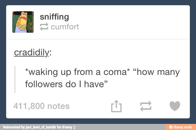 sniffing
*waking up from a coma* "how many
followers do I have"