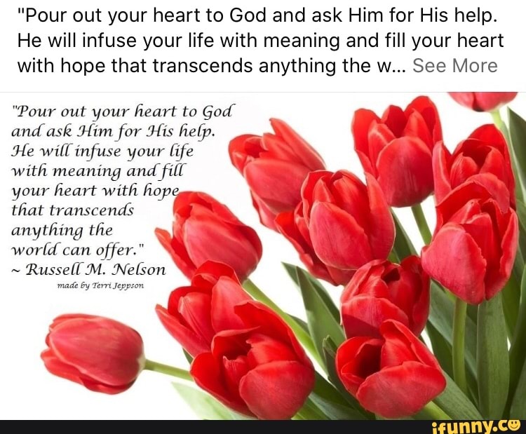 "Pour out your heart to God and ask Him for His help.
He will infuse your life with meaning and fill your heart
with hope that transcends anything the w... See More
"Pour out your heart to God
and ask Him for His help.
He will infuse your life
with meaning and
fill
your heart with hope
that transcends
anything the
y
world can
offer."
Russell M. Nelson
made by Terri Jeppson