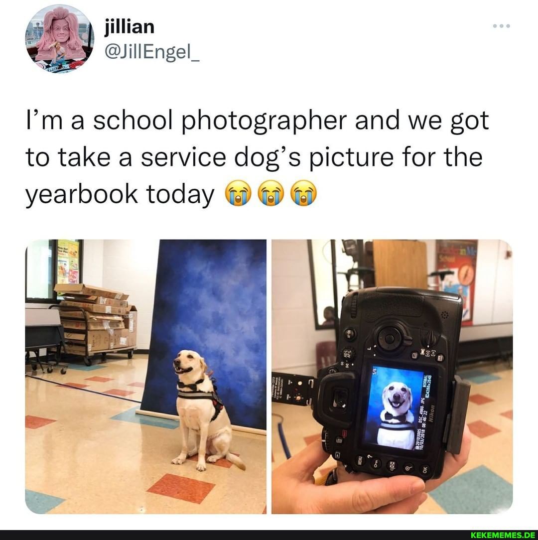 I'm a school photographer and we got to take a service dog's picture for the yea