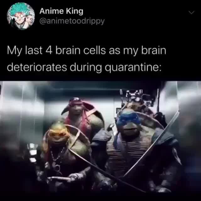 My last 4 brain cells as my brain deteriorates during quarantine: - )