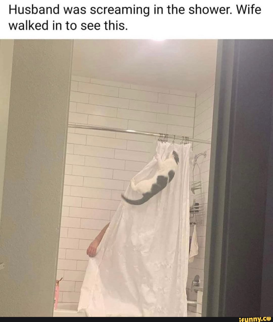 Husband was screaming in the shower. Wife walked in to see this.
