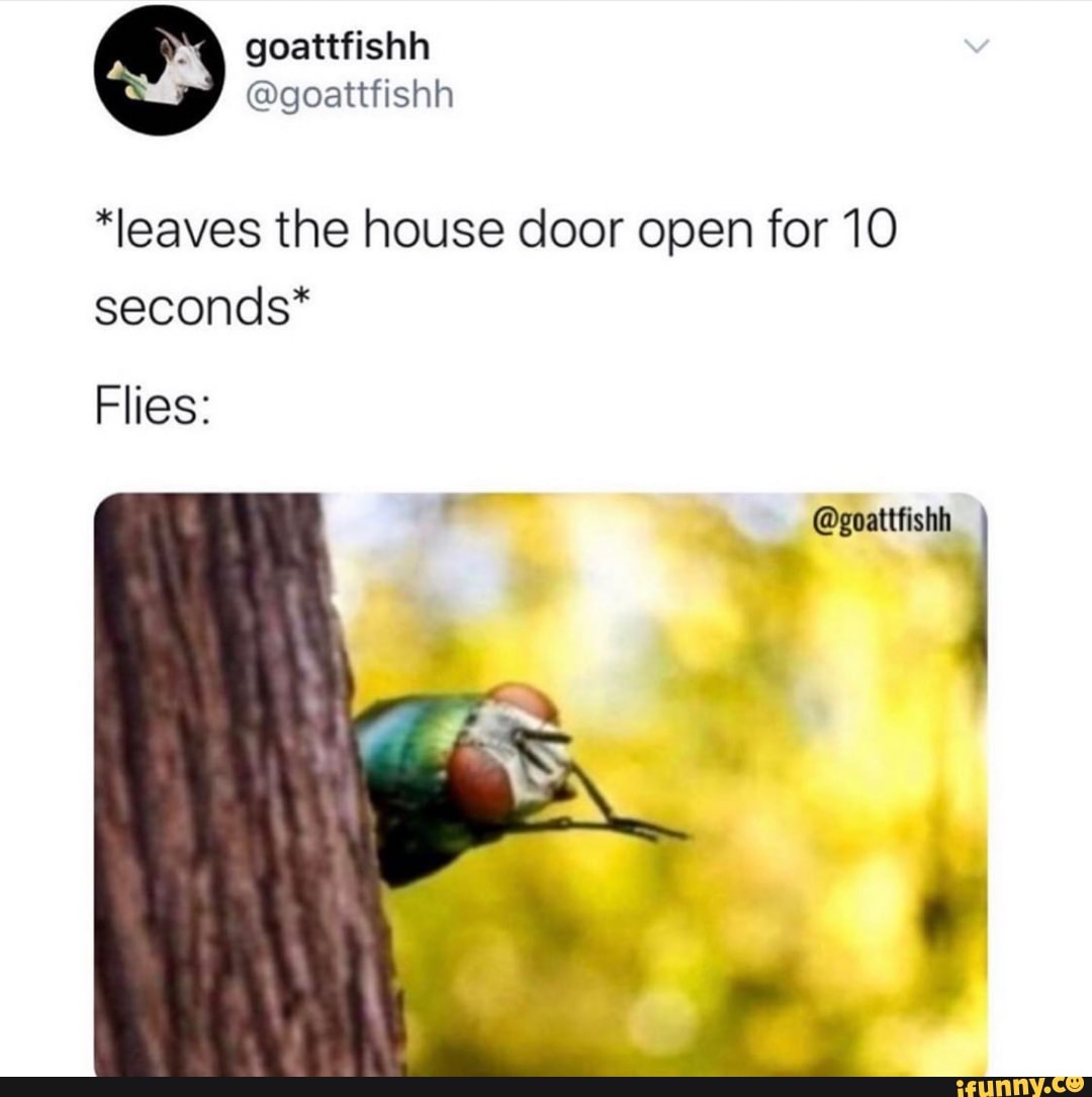 *leaves the house door open for 10
seconds*
Flies:
