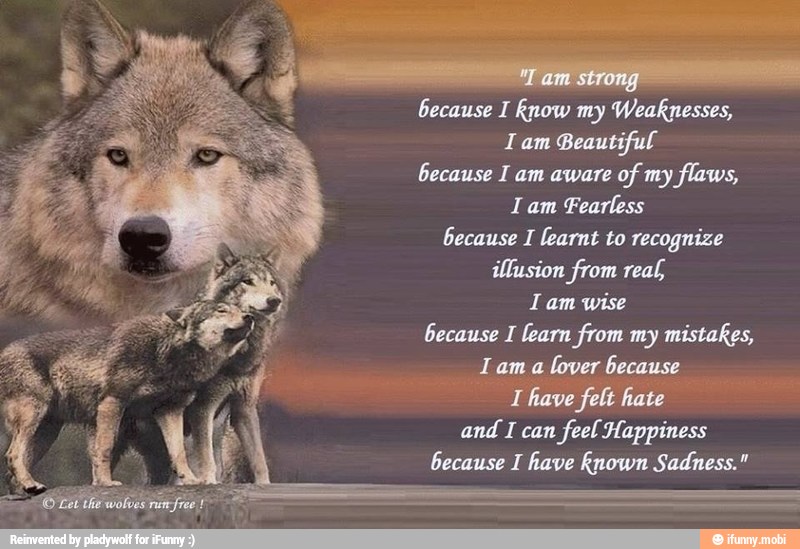 because I Rnow my Weaknesses,
Tam Beautiful
because I am aware
of my flaws,
Iam Fearless
because I learnt to recognize
illusion from real,
Tam wise
because I learn from my mistakes,
0
and I can
feel Happiness
because I have Rnown Sadness."