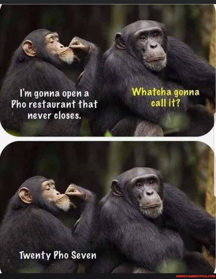 I'm gonna open Whateha gonna
Pho restaurant that call it?
never closes.
BA
Twenty Pho Seven