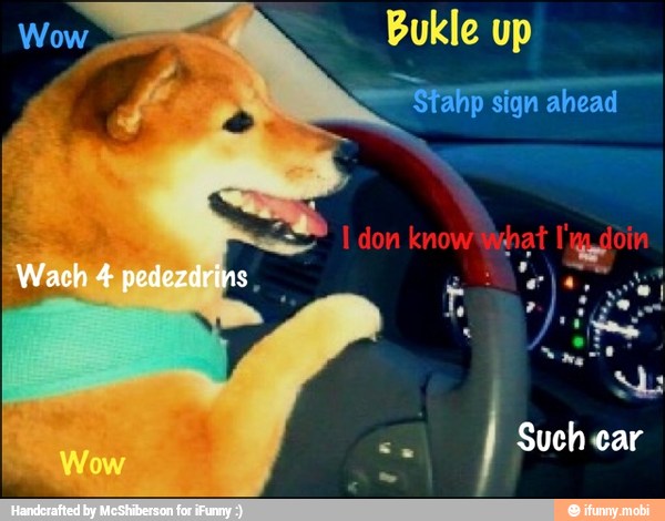 Bukle up
Sm Stahp Sign ahead