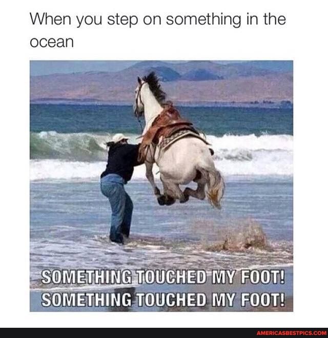 When you step on something in the ocean
SOMETHING TOUCHED MY FOQT!
SOMETHING TOUCHED MY FOOT!