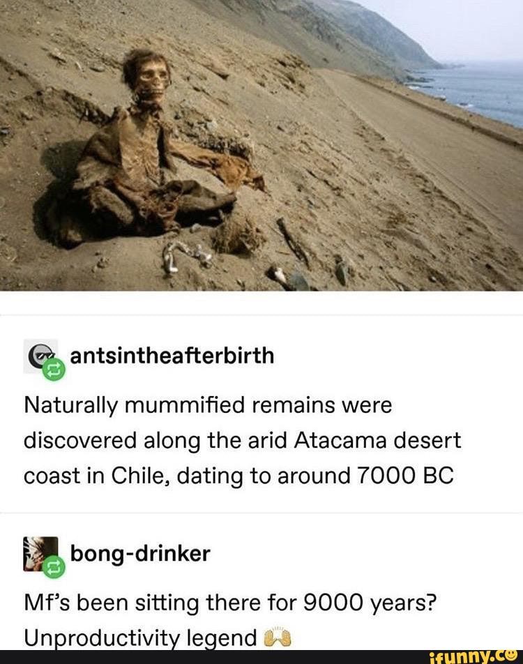 Naturally mummified remains were
discovered along the arid Atacama desert
coast in Chile, dating to around 7000 BC
Ed bong-drinker
Mf's been sitting there for 9000 years?
Unproductivity legend 43