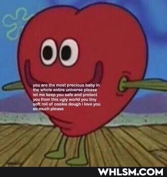 cake_day, birb, meme_dump, pupper, wholesome_memes