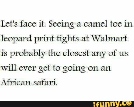 Let's face it. Seeing a camel toe in leopard print ﬁghts at Walmart is ...