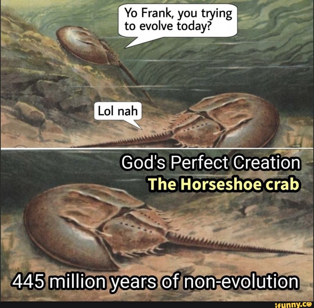 Yo Frank, you trying I to evolve today? Lol nah God's Perfect Creation