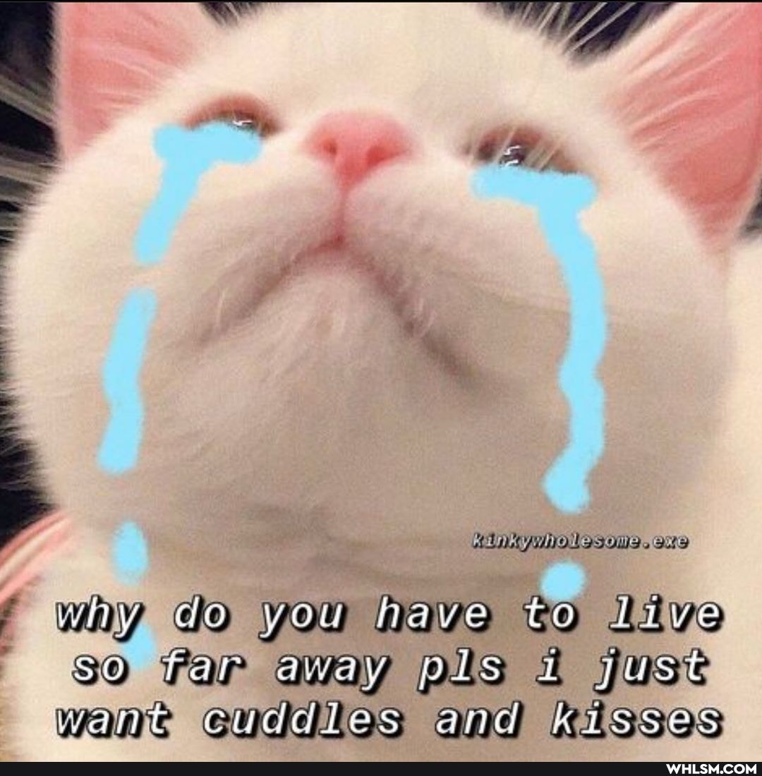 why do you have toa live so far away pls juse wane cuddies and kisses