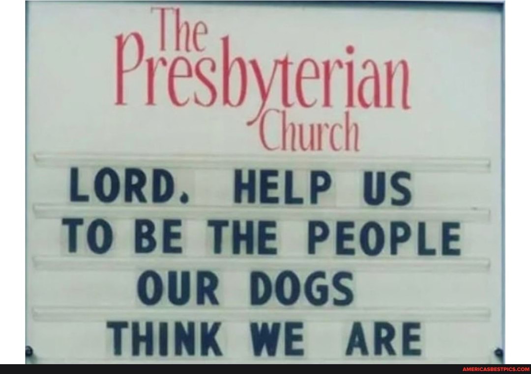 Church ian
Church
LORD. HELP US TO BE THE PEOPLE OUR DOGS THINK WE ARE ,