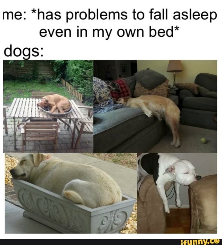 me: *has problems to fall asleep
even in my own bed*